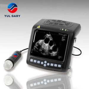 Pols Veterinaire Echografie YG1152
