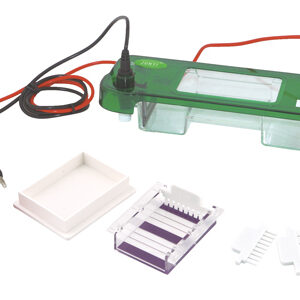 Horizontale elektroforese cel YG1664