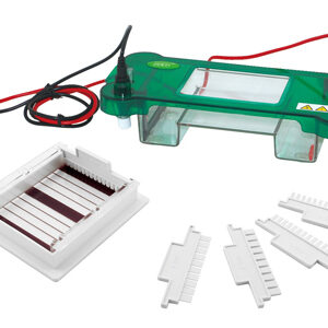 Horizontale elektroforese YG1565
