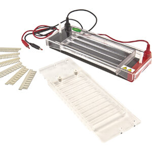 Horizontale elektroforese YG1571