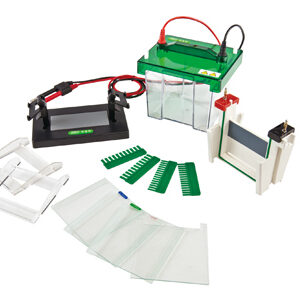 Mini-Protean Verticale elektroforesecel YG1574