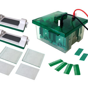 Mini-Protean Verticale Elektroforesecel YG1576