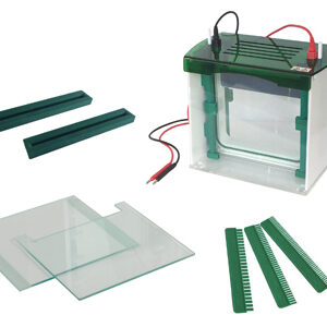 Verticale Gel Elektroforese Cel YG1578